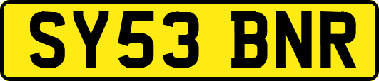 SY53BNR