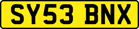 SY53BNX