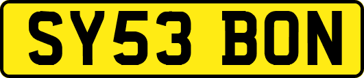 SY53BON