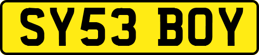 SY53BOY