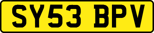 SY53BPV
