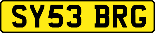 SY53BRG
