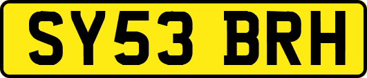 SY53BRH
