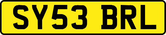 SY53BRL