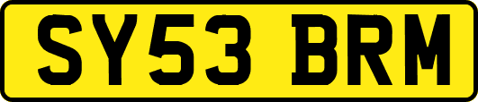 SY53BRM