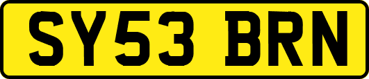 SY53BRN