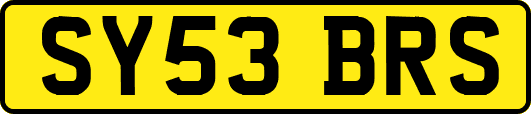 SY53BRS