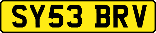 SY53BRV
