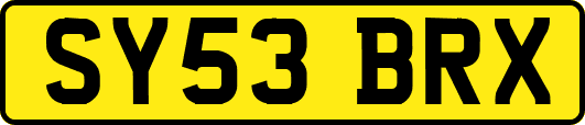SY53BRX