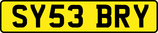 SY53BRY