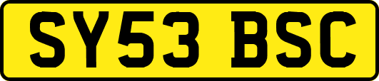 SY53BSC