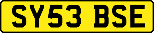 SY53BSE