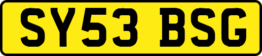 SY53BSG