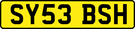 SY53BSH