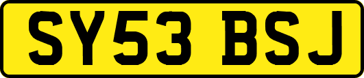 SY53BSJ