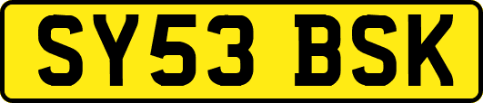 SY53BSK