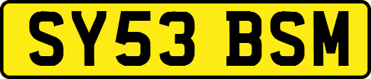 SY53BSM