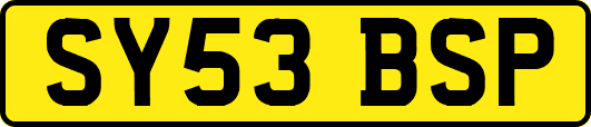 SY53BSP