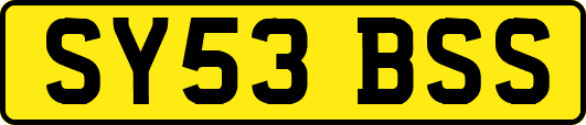 SY53BSS
