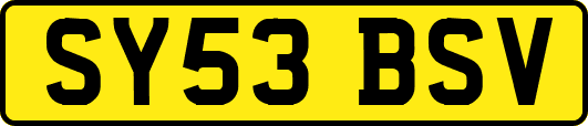 SY53BSV