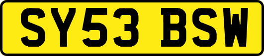 SY53BSW