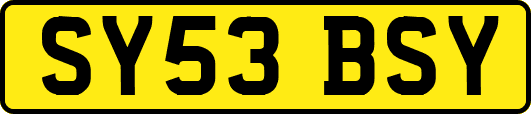 SY53BSY