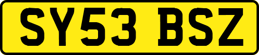 SY53BSZ