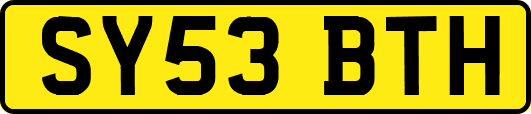 SY53BTH
