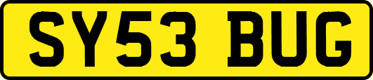 SY53BUG