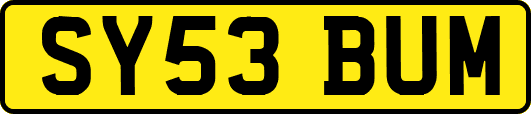 SY53BUM