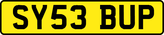 SY53BUP