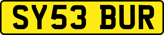 SY53BUR