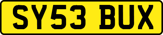 SY53BUX