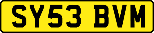 SY53BVM
