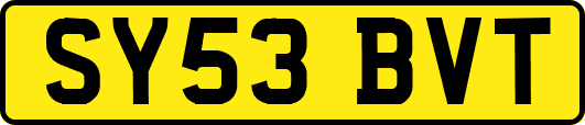 SY53BVT