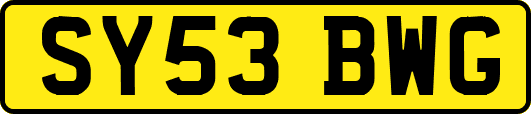 SY53BWG