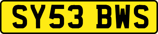 SY53BWS