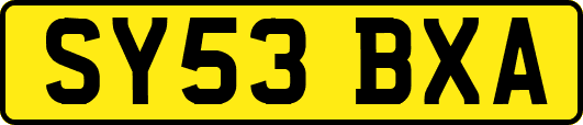 SY53BXA