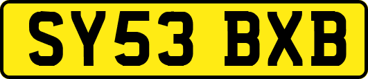 SY53BXB