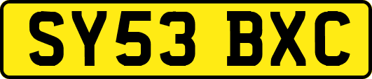 SY53BXC