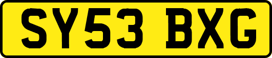 SY53BXG
