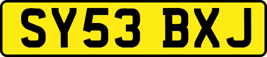 SY53BXJ