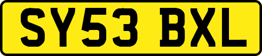 SY53BXL