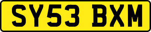 SY53BXM
