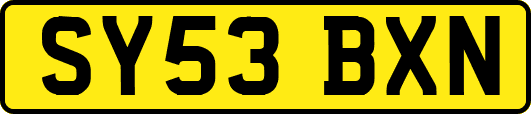 SY53BXN