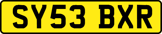 SY53BXR
