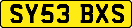SY53BXS