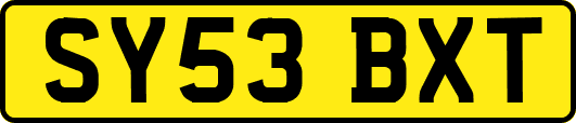 SY53BXT