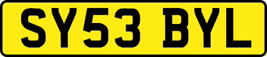 SY53BYL