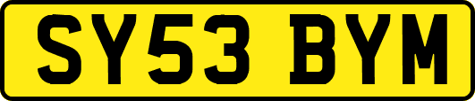 SY53BYM